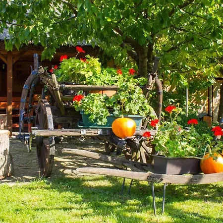 In - Balaton 18964 Апартаменты