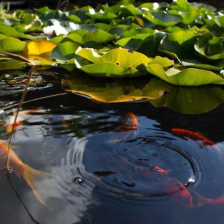 アパート In - Balaton 18964 *