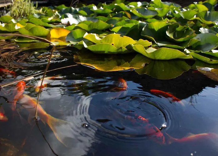 Daire In - Balaton 18964 *